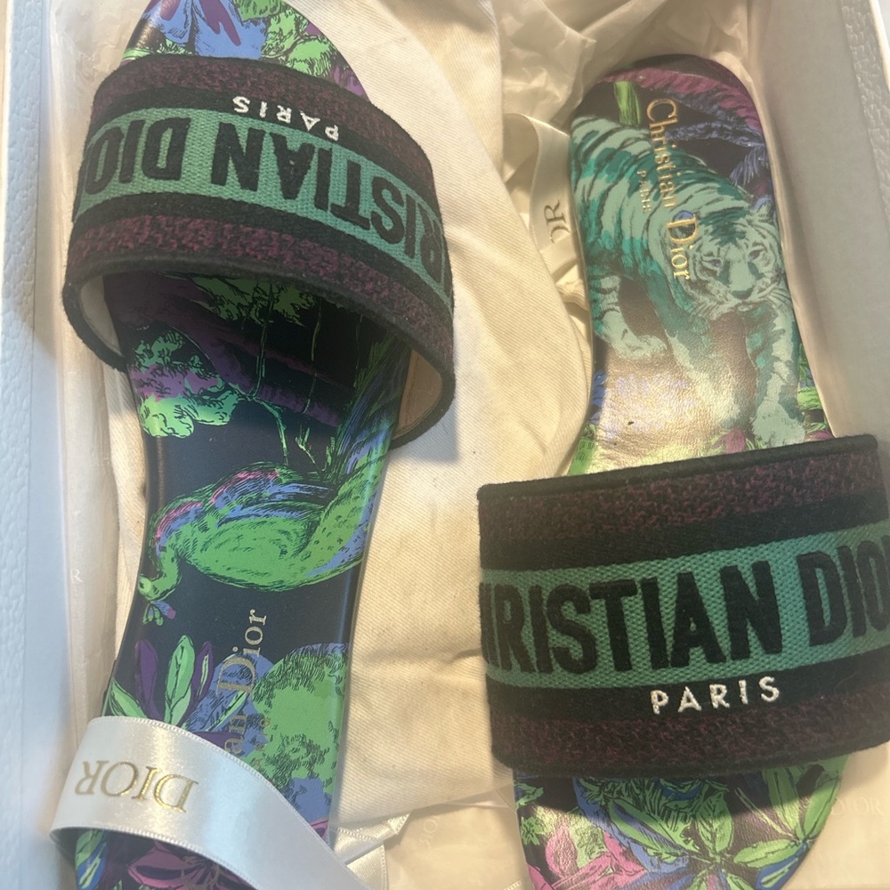 Dior Multicolor Slide Sandals